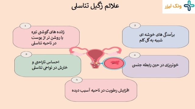 0 تا 100 زگیل تناسلی {از علائم تا درمان}